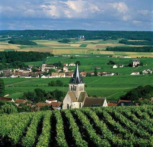 德國(guó)農(nóng)業(yè)