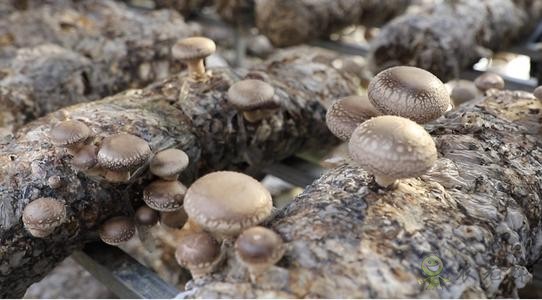 人物專(zhuān)訪