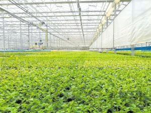 &ldquo;智慧農(nóng)業(yè)&rdquo;開(kāi)啟昆明農(nóng)業(yè)發(fā)展新時(shí)代