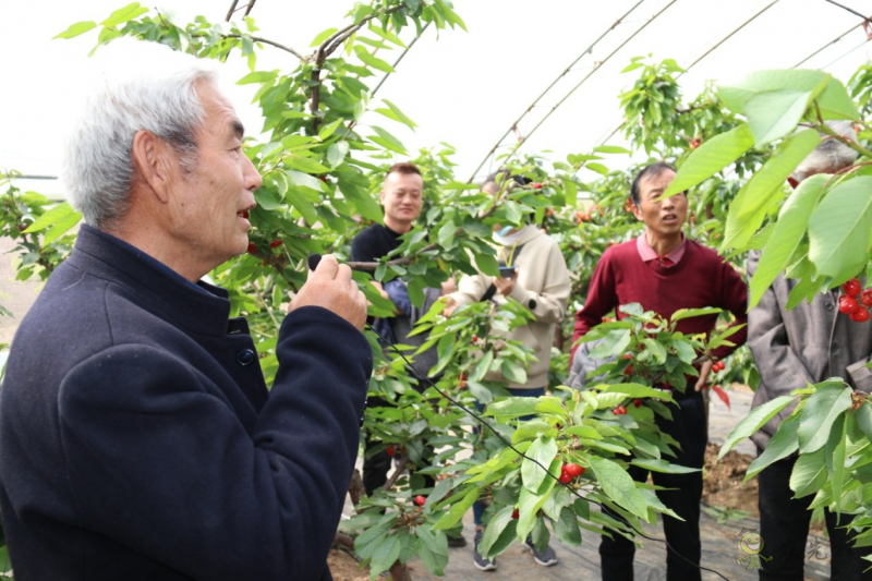 現(xiàn)代農業(yè)