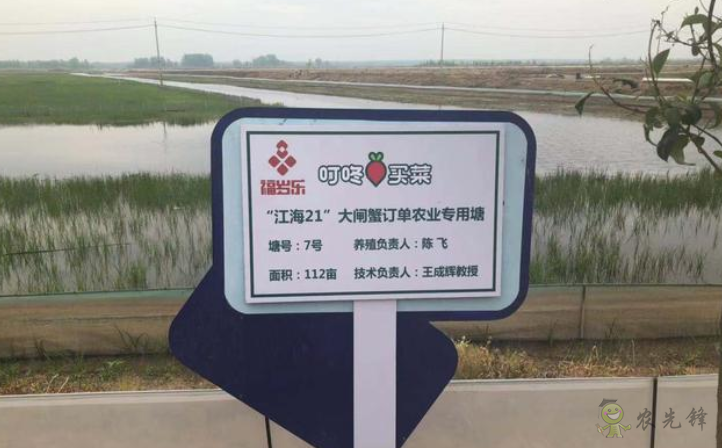 &ldquo;互聯(lián)網(wǎng)+農(nóng)業(yè)&rdquo;重構(gòu)產(chǎn)銷(xiāo)  叮咚買(mǎi)菜訂單農(nóng)業(yè)養(yǎng)殖新模式