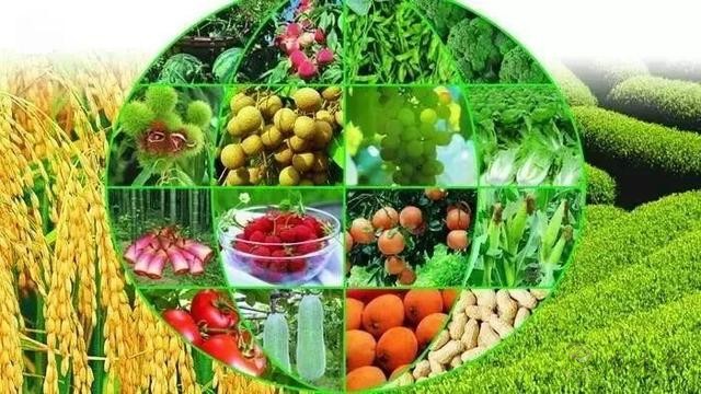 農(nóng)業(yè)農(nóng)村部決定開(kāi)展現(xiàn)代農(nóng)業(yè)全產(chǎn)業(yè)鏈標(biāo)準(zhǔn)化試點(diǎn)工作