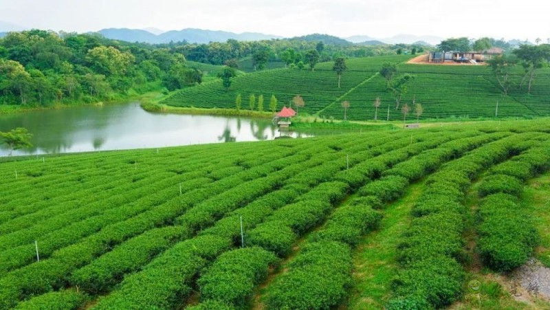 生態(tài)循環(huán)農(nóng)業(yè)&rdquo;的發(fā)展重點(diǎn)  這五點(diǎn)值得關(guān)注