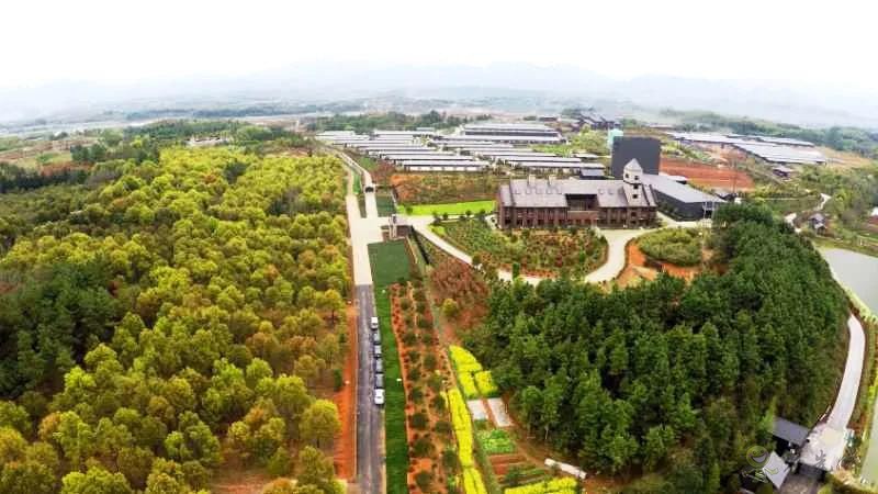 金華畜牧企業(yè)紛紛轉(zhuǎn)向&ldquo;四無(wú)&rdquo;養(yǎng)殖模式