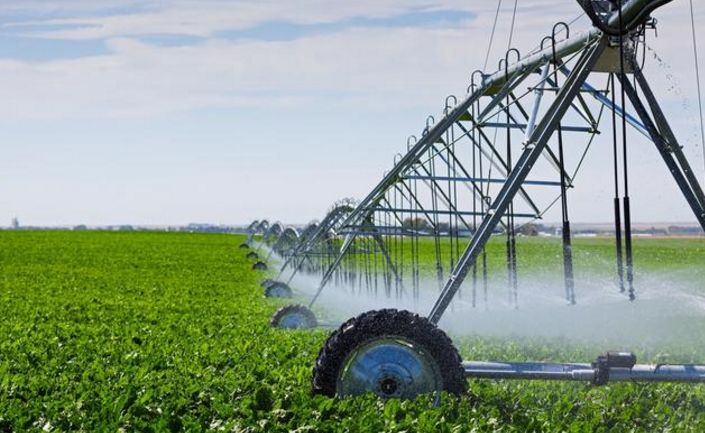 以色列農(nóng)業(yè)對(duì)中國農(nóng)業(yè)創(chuàng)新的啟示