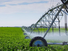 以色列農(nóng)業(yè)對(duì)中國農(nóng)業(yè)創(chuàng)新的啟示