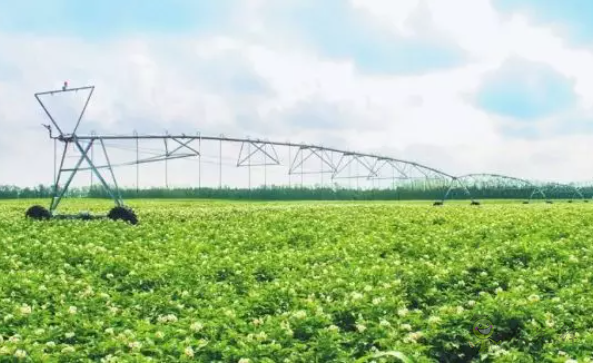 科技部出臺(tái)9大措施加強(qiáng)現(xiàn)代農(nóng)業(yè)科技金融服務(wù)