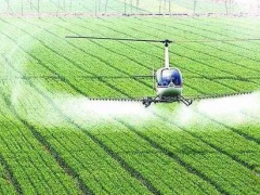 日本農(nóng)業(yè)是如何玩轉(zhuǎn)現(xiàn)代化？3點(diǎn)借鑒，10大玩法