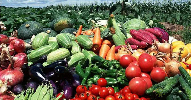 三部門(mén)發(fā)文，政府采購(gòu)支持鄉(xiāng)村產(chǎn)業(yè)振興