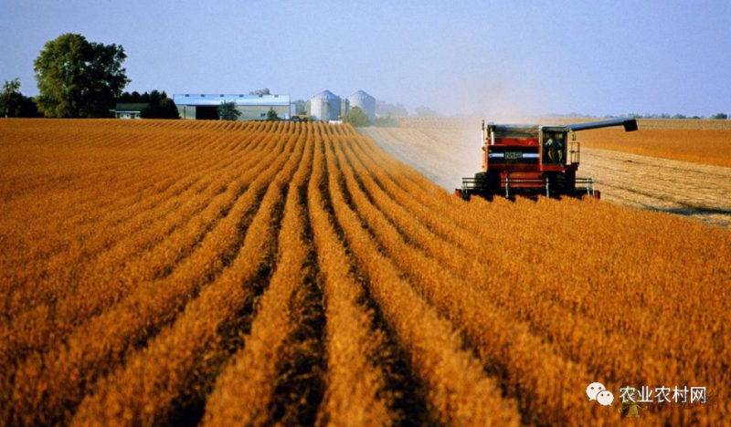 農(nóng)業(yè)農(nóng)村部數(shù)字農(nóng)業(yè)試點都需要符合哪些條件才能申報？