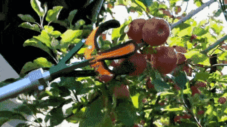 趙春江：無(wú)人農(nóng)場(chǎng)技術(shù)是農(nóng)業(yè)發(fā)展必然趨勢(shì)