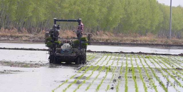 為什么要使用智能農(nóng)機(jī)？