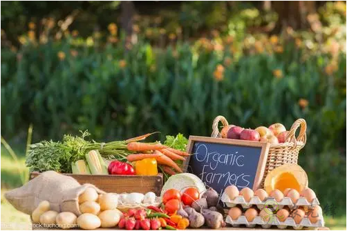 &ldquo;深農(nóng)會(huì)&rdquo;為您講述中國(guó)農(nóng)業(yè)發(fā)展史下的生態(tài)農(nóng)業(yè)