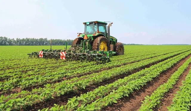 行間智能除草&ldquo;機器人&rdquo;