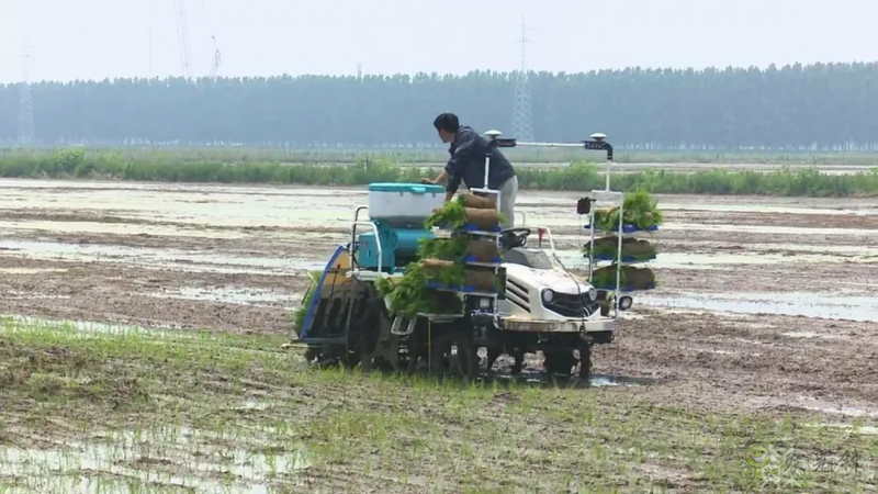 智慧農(nóng)機(jī)上陣 ！無人駕駛插秧機(jī)開始大面積試點！