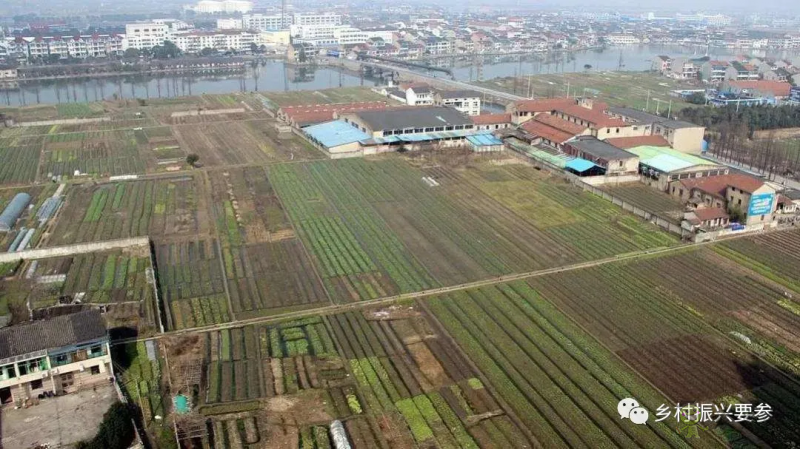 賀雪峰：未來(lái)十五年鄉(xiāng)村振興的時(shí)空維度、社會(huì)條件及預(yù)測(cè)