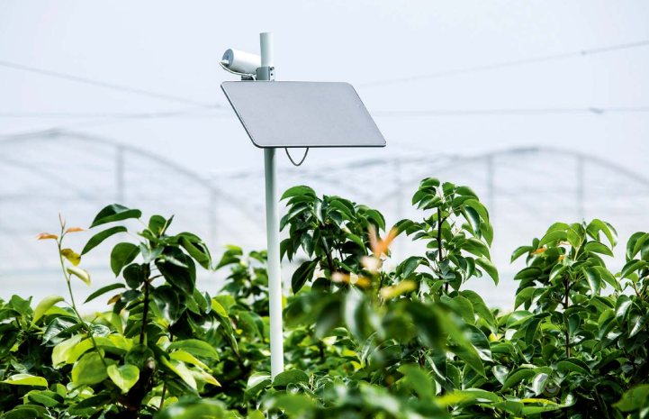 汪懋華：數(shù)字經(jīng)濟展翅 助推智慧農(nóng)業(yè)創(chuàng)新發(fā)展