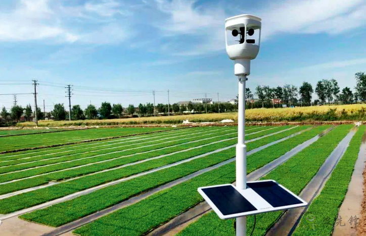 汪懋華：數(shù)字經(jīng)濟展翅 助推智慧農(nóng)業(yè)創(chuàng)新發(fā)展