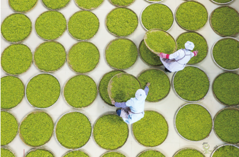 《鄉(xiāng)村振興戰(zhàn)略規(guī)劃實施報告（2020年）》出版發(fā)布