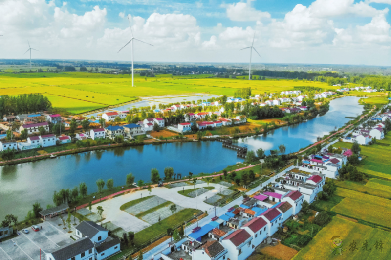 《鄉(xiāng)村振興戰(zhàn)略規(guī)劃實施報告（2020年）》出版發(fā)布