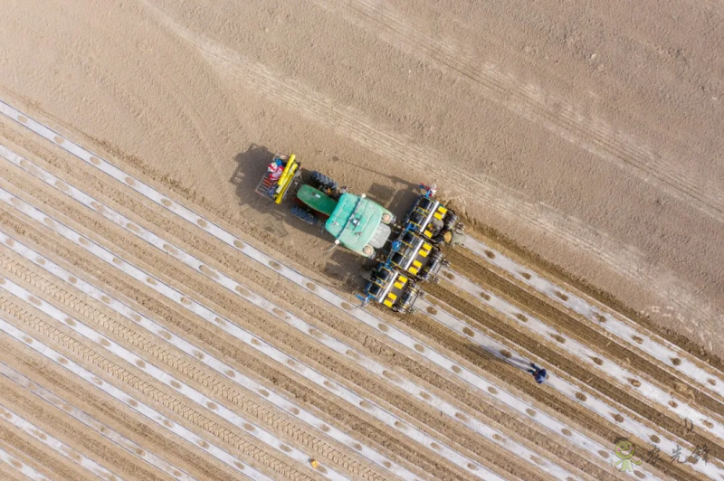 亮相新疆農(nóng)機展，極飛展示棉花智能化生產(chǎn)硬核實力