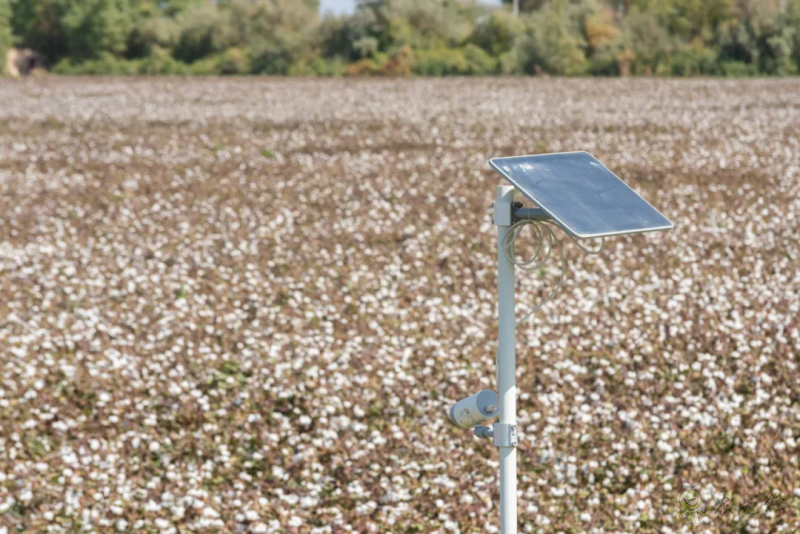 亮相新疆農(nóng)機展，極飛展示棉花智能化生產(chǎn)硬核實力