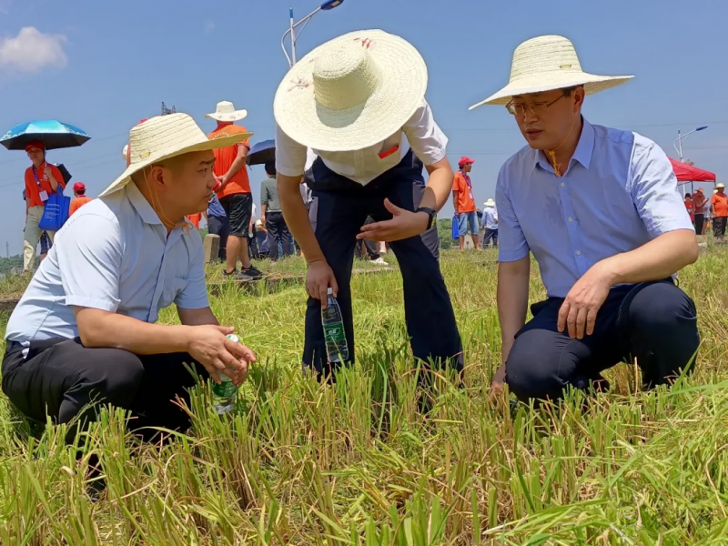 全國專業(yè)農機手培訓行動在湖南婁底啟動