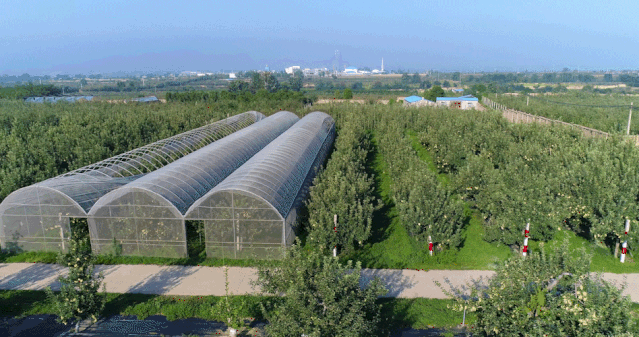 大數(shù)據(jù)在農(nóng)業(yè)無人機上的應(yīng)用研究