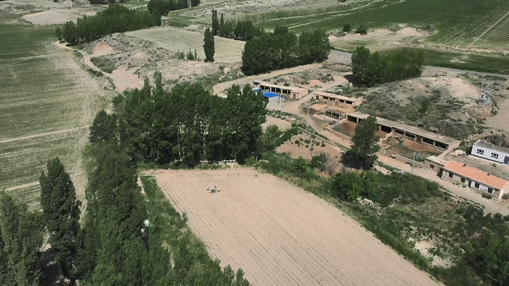 新疆 4 萬畝楊樹林蟲害爆發(fā)，極飛農(nóng)業(yè)無人機(jī)升空阻擊