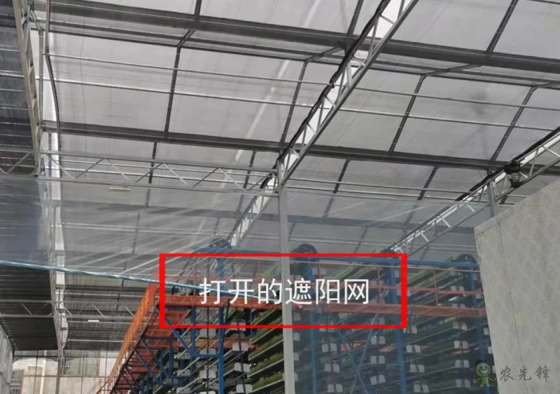 水稻工廠化育秧之立體層架晚稻育秧的幾點(diǎn)注意事項(xiàng)