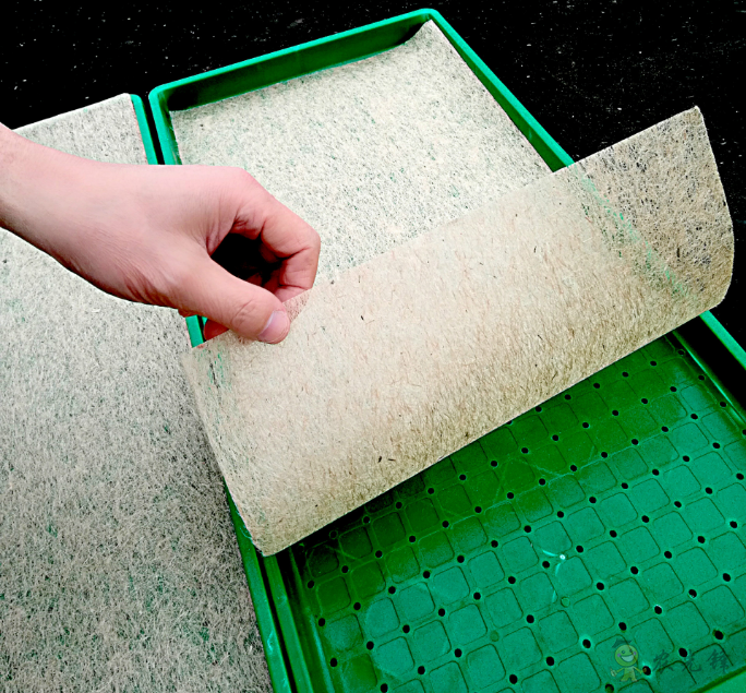 水稻工廠化育秧之立體層架晚稻育秧的幾點(diǎn)注意事項(xiàng)