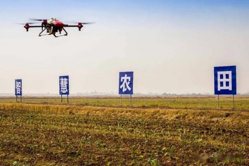 農(nóng)業(yè)農(nóng)村部：全力推進(jìn)高標(biāo)準(zhǔn)農(nóng)田建設(shè)，實(shí)施智慧農(nóng)業(yè)