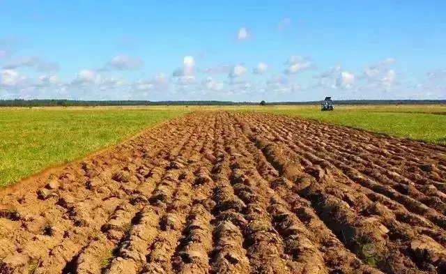 安徽打造高標(biāo)準(zhǔn)農(nóng)田&ldquo;升級版&rdquo;