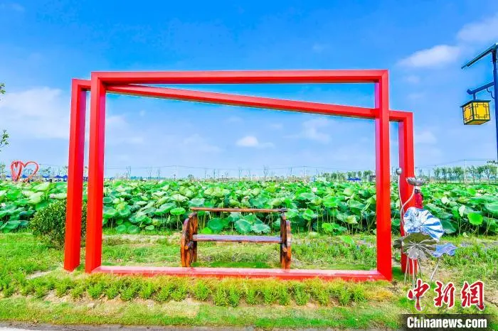 肥西：以&ldquo;荷&rdquo;為媒 打造鄉(xiāng)村生態(tài)旅游產(chǎn)業(yè)