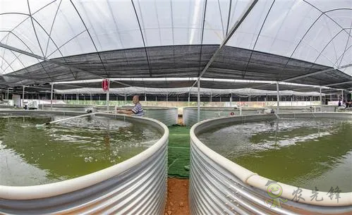 數字漁業(yè)裝備在水產養(yǎng)殖中的應用