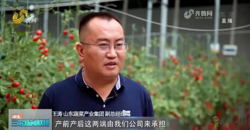 &ldquo;壽光標(biāo)準(zhǔn)&rdquo;向全國輸出 推動(dòng)蔬菜產(chǎn)業(yè)提檔升級(jí)