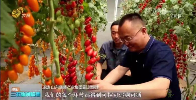 &ldquo;壽光標(biāo)準(zhǔn)&rdquo;向全國輸出 推動(dòng)蔬菜產(chǎn)業(yè)提檔升級(jí)