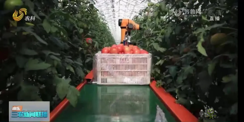 &ldquo;壽光標(biāo)準(zhǔn)&rdquo;向全國輸出 推動(dòng)蔬菜產(chǎn)業(yè)提檔升級(jí)