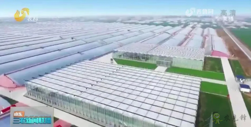 &ldquo;壽光標(biāo)準(zhǔn)&rdquo;向全國輸出 推動(dòng)蔬菜產(chǎn)業(yè)提檔升級(jí)