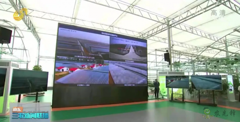 &ldquo;壽光標(biāo)準(zhǔn)&rdquo;向全國輸出 推動(dòng)蔬菜產(chǎn)業(yè)提檔升級(jí)