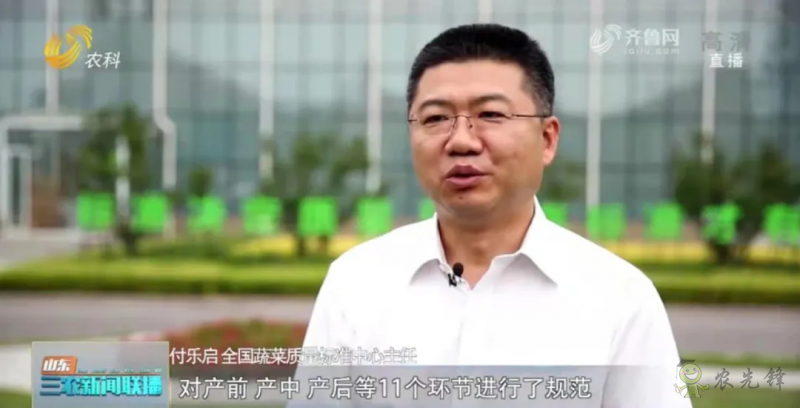 &ldquo;壽光標(biāo)準(zhǔn)&rdquo;向全國輸出 推動(dòng)蔬菜產(chǎn)業(yè)提檔升級(jí)