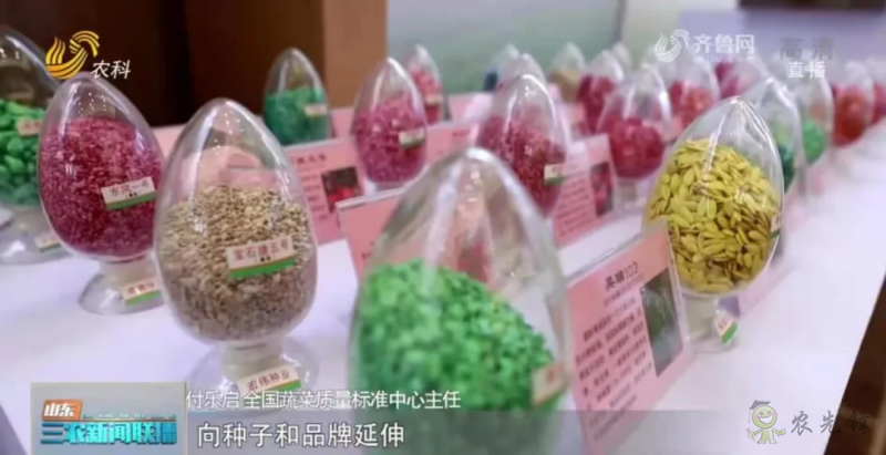 &ldquo;壽光標(biāo)準(zhǔn)&rdquo;向全國輸出 推動(dòng)蔬菜產(chǎn)業(yè)提檔升級(jí)