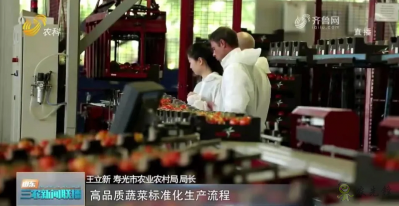 &ldquo;壽光標(biāo)準(zhǔn)&rdquo;向全國輸出 推動(dòng)蔬菜產(chǎn)業(yè)提檔升級(jí)