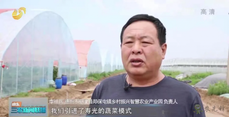 &ldquo;壽光標(biāo)準(zhǔn)&rdquo;向全國輸出 推動(dòng)蔬菜產(chǎn)業(yè)提檔升級(jí)