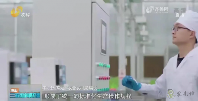 &ldquo;壽光標(biāo)準(zhǔn)&rdquo;向全國輸出 推動(dòng)蔬菜產(chǎn)業(yè)提檔升級(jí)