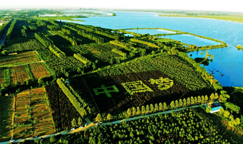 衡水市：全域推進(jìn)高效節(jié)水農(nóng)業(yè)