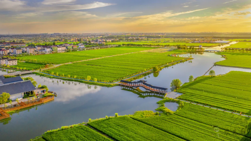 蘇州市：探索實踐農(nóng)業(yè)農(nóng)村現(xiàn)代化蘇州路徑