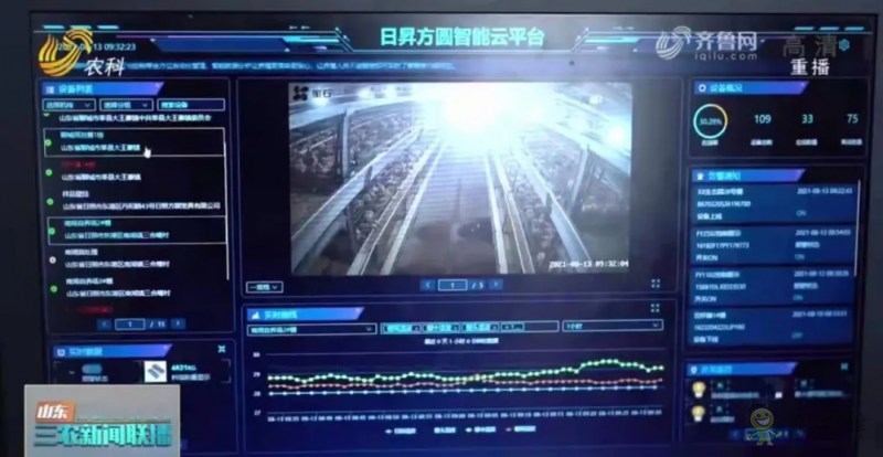 山東日照： 智慧養(yǎng)殖新模式 36萬只肉雞養(yǎng)殖不犯難