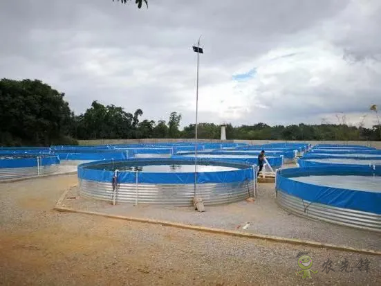 2021年農(nóng)業(yè)農(nóng)村部重大引領(lǐng)性技術(shù)發(fā)布！