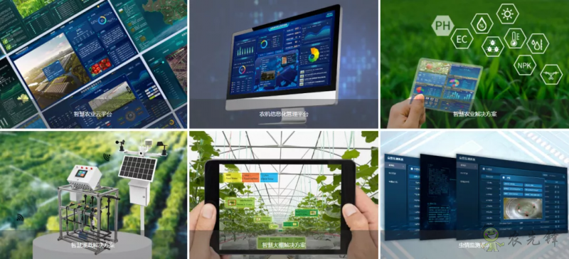 中國數(shù)字經(jīng)濟(jì)規(guī)模全球第二，&ldquo;農(nóng)業(yè)數(shù)字革命&rdquo;正在到來